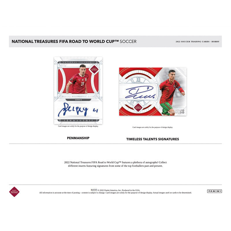 世界49枚！Panini National Treasures ファン バステン Amazon.co.jp: 世界49枚！Panini National Treasures ファン